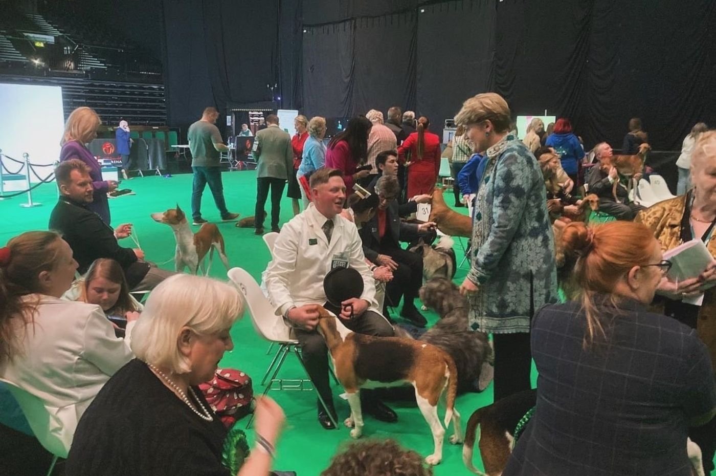 Harriers make history at Crufts